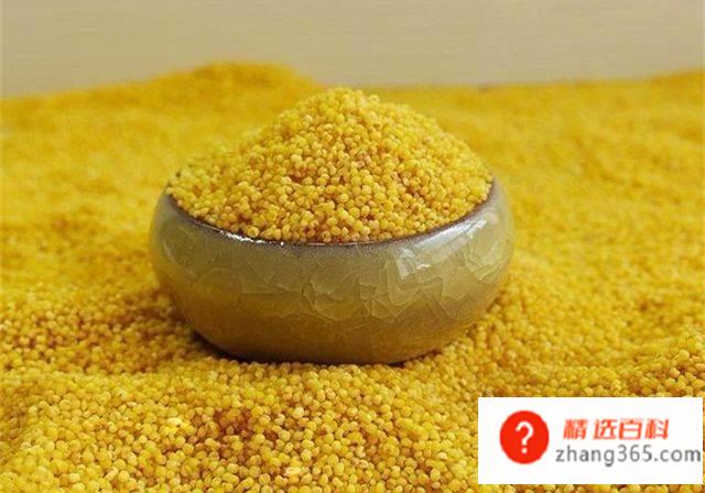 中国最好的小米产地是哪？