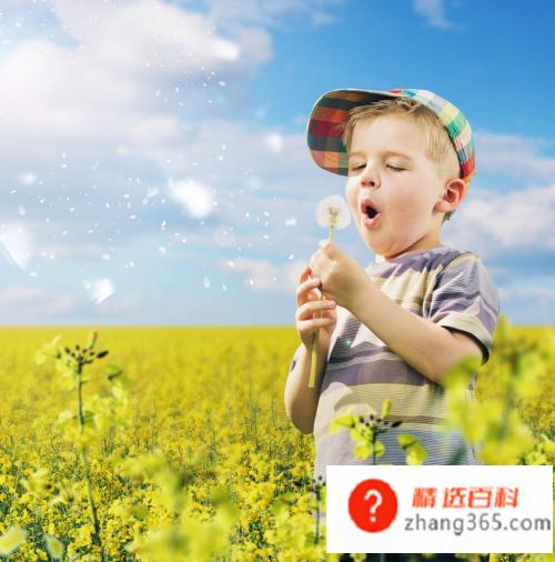 适合取名的火字旁字有哪些(火字旁的字有哪些方面参照)