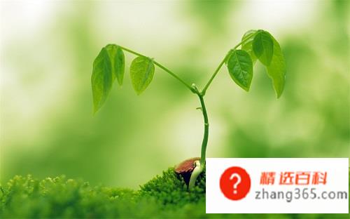 春天来了写一段话该怎么写?