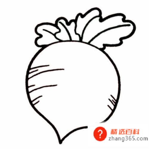 蔬菜简笔画(做菜的时候也可以带着孩子观察蔬菜)