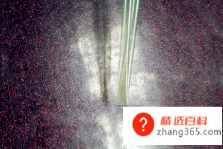 吸管星星制作教程(吸管如何折星星教你详细制作方法)
