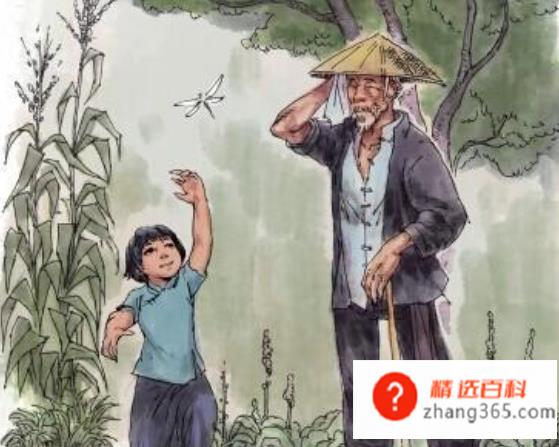 呼兰河传主要内容