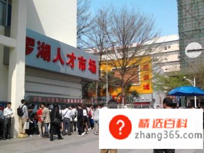 怎么查自己的档案(学信网查看档案信息有哪些)
