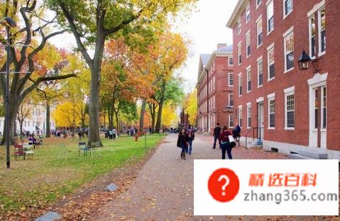 大学有什么专业