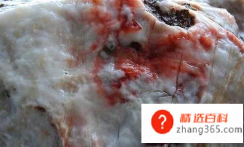 常见假化石的识别与鉴定(一块化石过于完整到了完美的地步)