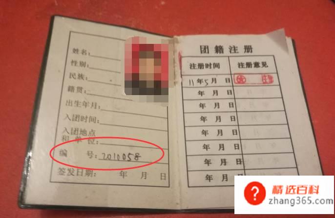 团员编号在哪里查询(共青团证书编号在哪里查询)