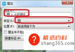 文档如何插入题注和引用图注？