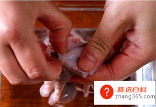 八爪鱼怎么清洗(清洗八爪鱼的时候要先用清水冲洗)