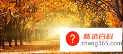 秋天是一个什么样的季节(气象工作者研究的物候学标准)