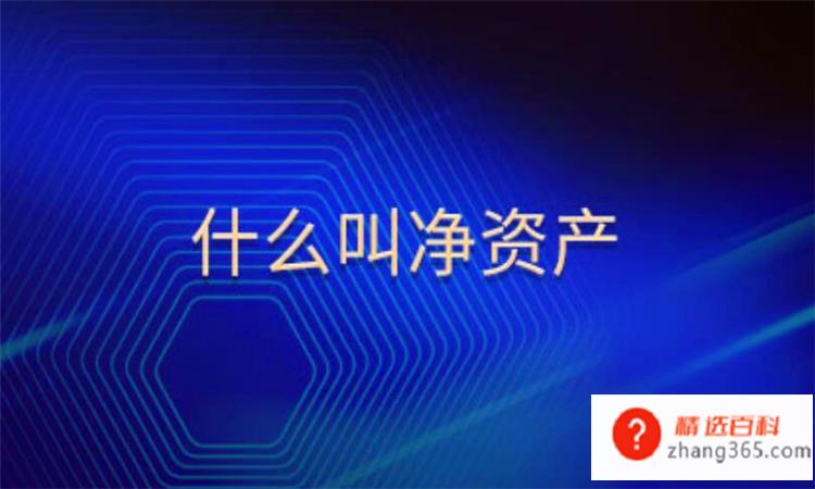 净资产是什么(净资产指的是企业的哪方面资产)