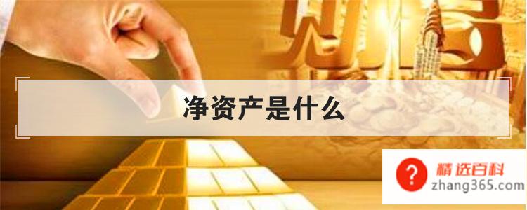 净资产是什么(净资产指的是企业的哪方面资产)