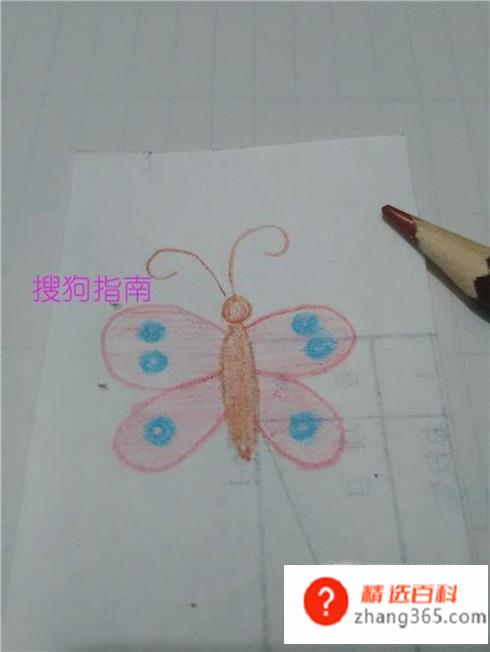 简笔画彩色的蝴蝶怎么画
