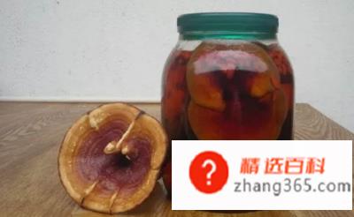 泡酒用什么材料最好?