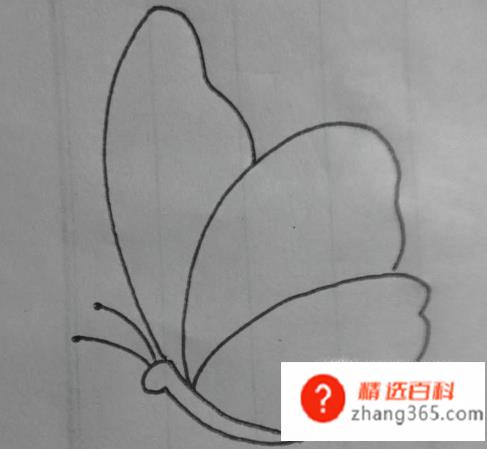 如何画一个简单蝴蝶(怎么画一个简单的蝴蝶)