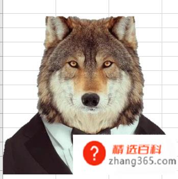 如何给证件照换底色；怎么快速更换证件照底色