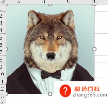 如何给证件照换底色；怎么快速更换证件照底色
