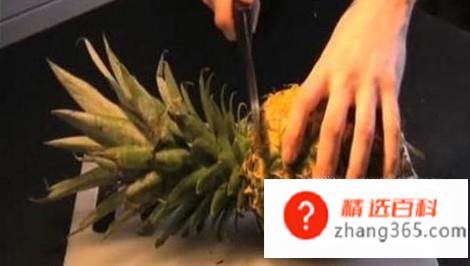 菠萝头子的种植方法