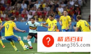 瑞典国家队世界杯名单(2022年瑞典国家足球队世界杯预选赛名单介绍)