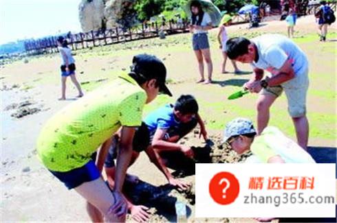 去海边玩什么？