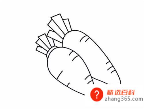 蔬菜简笔画(做菜的时候也可以带着孩子观察蔬菜)