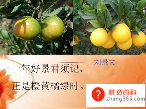 一年好景君须记最是橙黄橘绿时是什么意思?