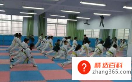 如何进行跆拳道训练(跆拳道训练方法有哪些)