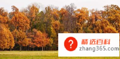 秋天是一个什么样的季节(气象工作者研究的物候学标准)