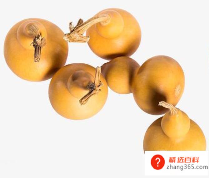 新鲜葫芦怎么处理成干葫芦(怎么样用新鲜葫芦做成干葫芦)