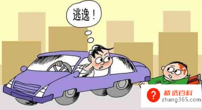 酒驾逃逸怎么处理(酒驾之后逃逸的操作方法)