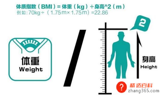 如何计算你的体重指数(体质指数全称身体质量指数)