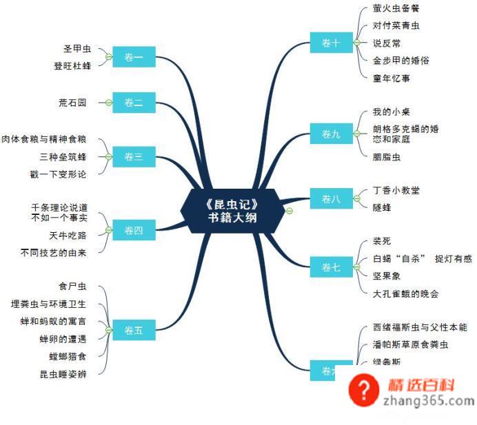 《昆虫记》思维导图模板分享(昆虫记怎样做思维导图)