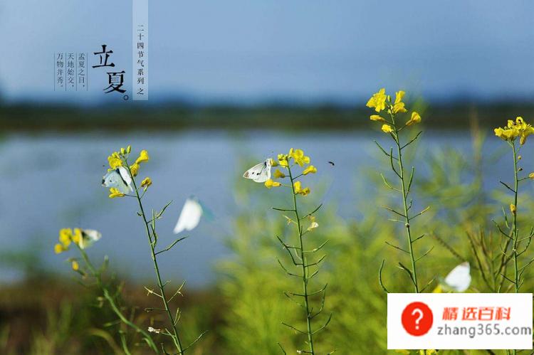 传统节日有哪些