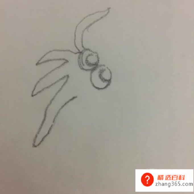 章鱼哥简笔画怎么画(章鱼哥简笔画操作方法)