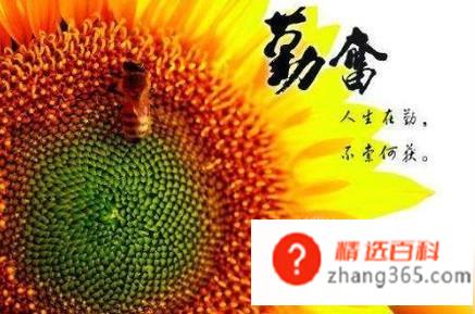 做人四项基本原则