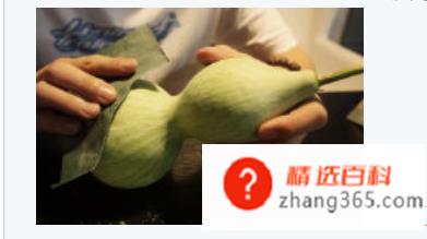 新鲜葫芦怎么处理成干葫芦(怎么样用新鲜葫芦做成干葫芦)