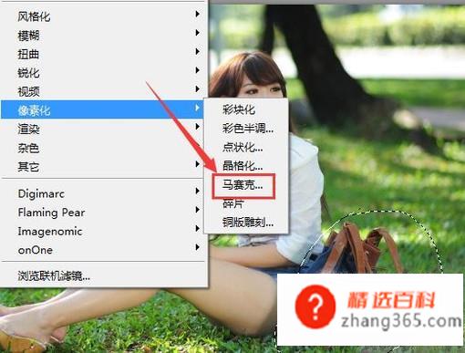 ps怎么打局部马赛克(使用ps是如何为图片的局部打马赛克的)