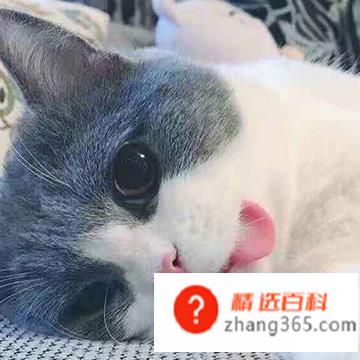 咬舌自尽是真的能死人吗?