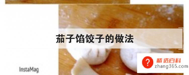 茄子馅饺子的做法