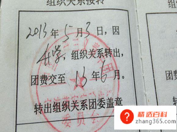 如何转团组织关系(团员证回入团申请时的操作方法)
