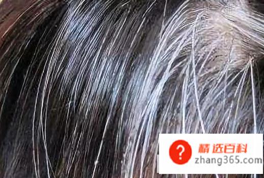 如何制作天然染发剂(自己制作染发剂的时候要掌握好正确的步骤)