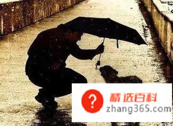 做人四项基本原则