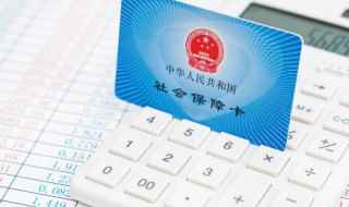 怎么查询社保交了几年(在地劳动与社会保障网站有什么区别)