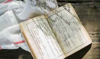 不带走一片云彩是谁的诗题目是什么(徐志摩的《再别康桥》)