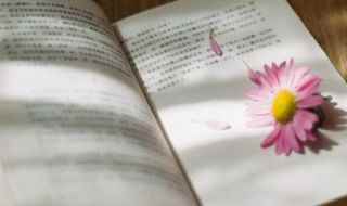 明朝那些事张居正万历介绍(明朝那些事张居正万历)
