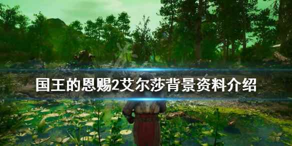 国王的恩赐2艾尔莎怎么样(国王的恩赐2艾尔莎背景资料介绍)