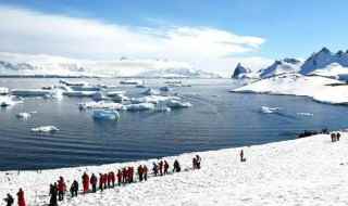 去南极旅游什么时候最好，什么时候适合去南极旅游
