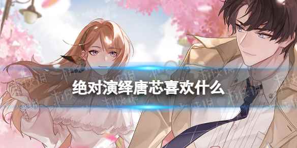 绝对演绎唐芯礼物推荐(绝对演绎唐芯喜欢什么)