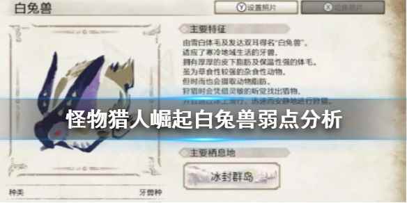 怪物猎人崛起白兔兽好打吗(怪物猎人崛起白兔兽弱点分析)