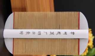 篦子的解释(篦子是什么)