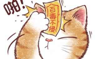 暴富暴美暴瘦的说说(暴富暴瘦暴美的一句话)